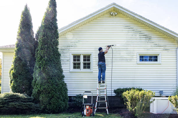 Best Sidewalk and Walkway Pressure Cleaning in Bargersville, IN